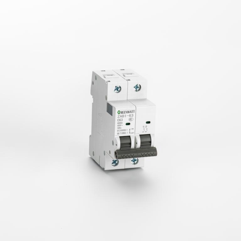 AC সার্কিট ব্রেকার কার্ভ C 10A 2P 6kA