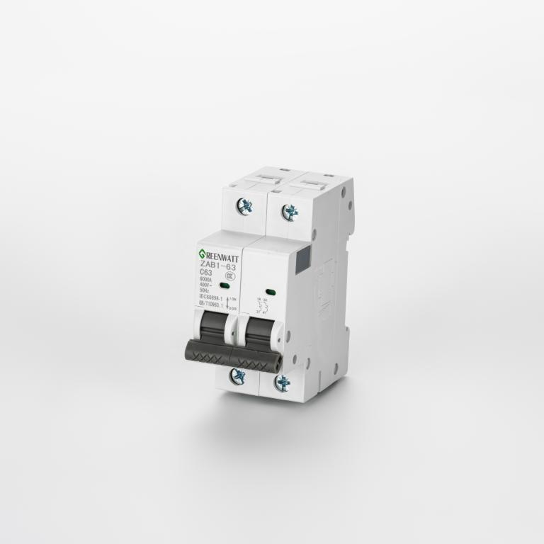 AC সার্কিট ব্রেকার কার্ভ C 40A 2P 6kA