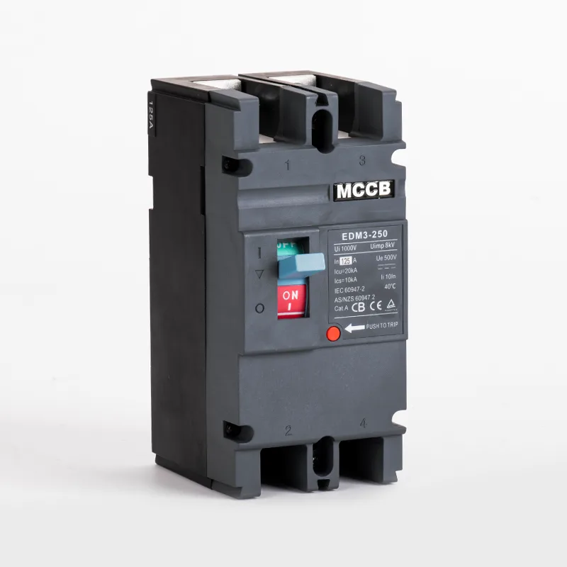 DC500V 125A মোল্ডেড কেস সার্কিট ব্রেকার