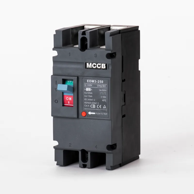 DC500V 250A মোল্ডেড কেস সার্কিট ব্রেকার